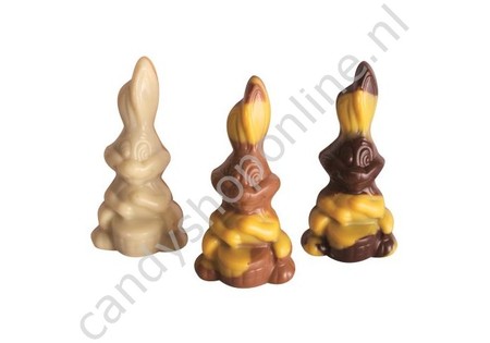 Praline Bolhaasjes Assortie bakje 6 stuks