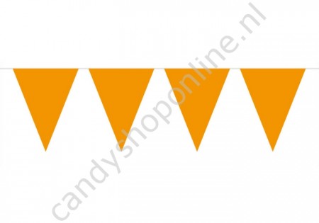 Oranje Vlaggenlijn 10 meter