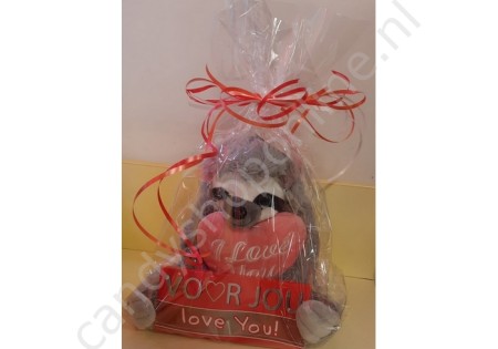 Pluche Luiaard met Hart 25 cm. met Chocolade Tablet Love You